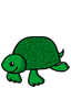 turtle!